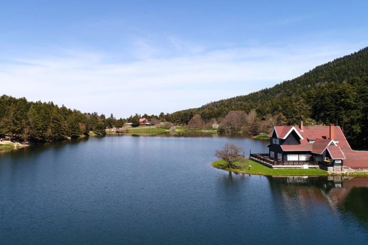 Milli parklarda ekolojik dengeyi bozanlara 3 yıla kadar hapis cezası geliyor