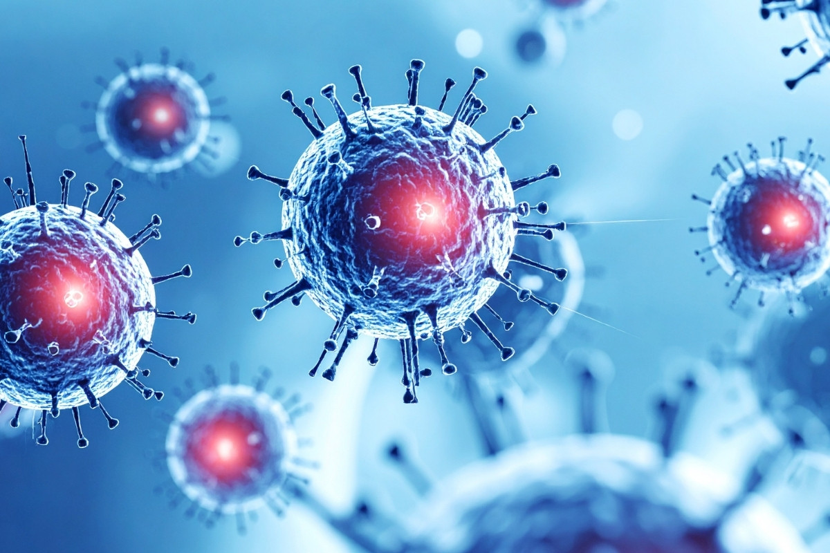 Hindistan'daki Nipah vakaları sonrası sağlık taramaları artırıldı