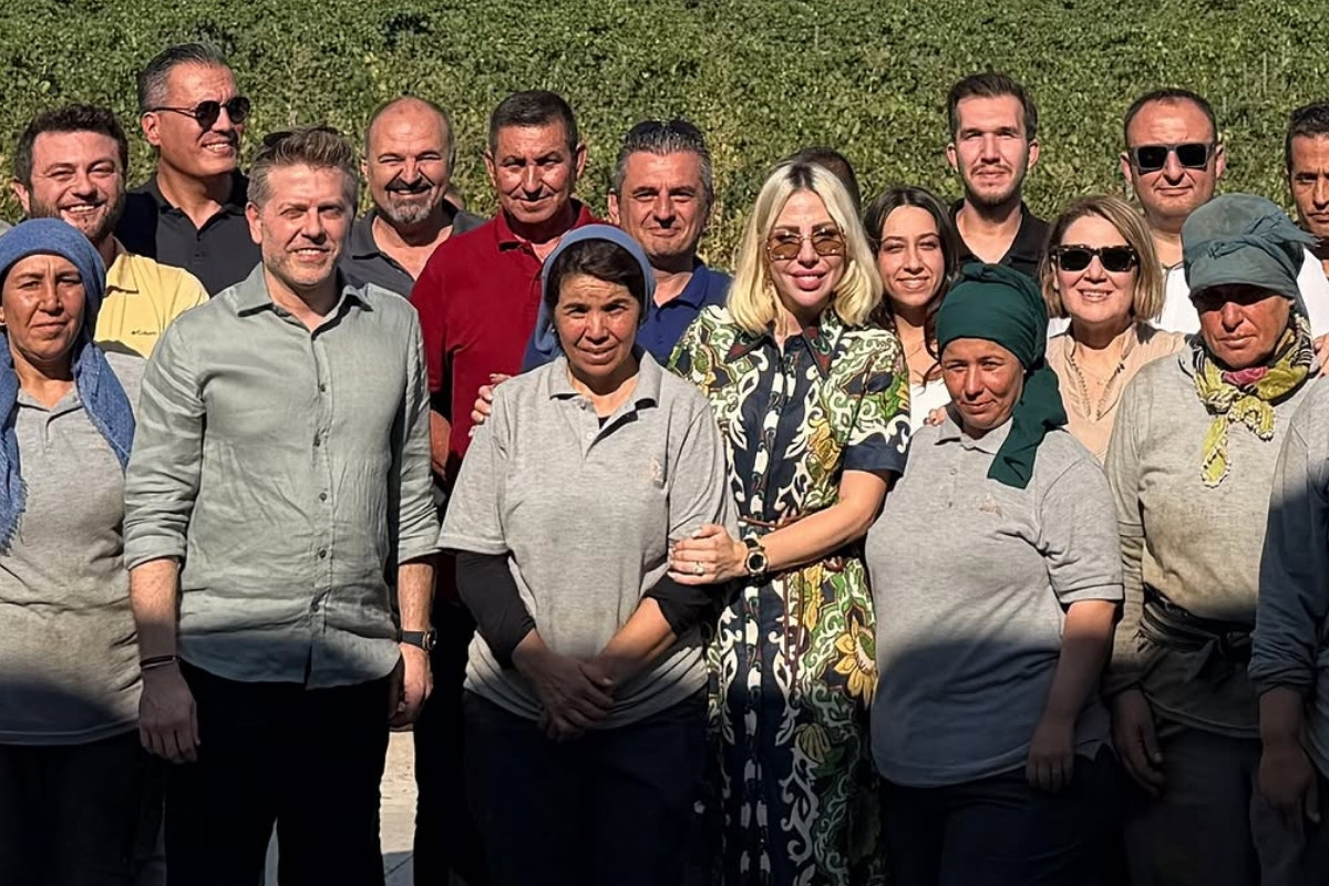 Lucien Arkas Bağları'nda hasat başladı, Merve Arkas ilk hasat günlerinden fotoğrafları paylaştı