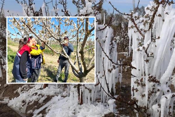 Zirai donun vurduğu 13 ilde çiftçi tazminat talebiyle sahada: Meclis Araştırma Komisyonu'nun tespit ve tavsiyeleri