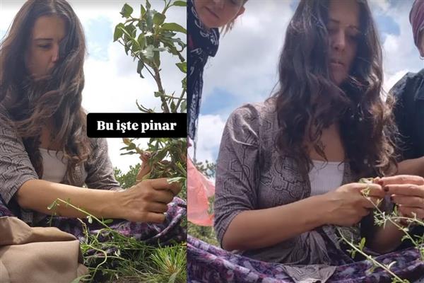 Elif Boyner'in köyde bitki toplama mesaisi