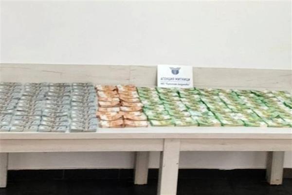Bulgaristan sınırında iki Türk 1,4 milyon euroyla yakalandı