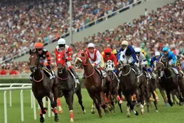 29 Haziran'da 2400 metrelik çim piste çıkacak 26 tay arasından biri tarihe geçecek