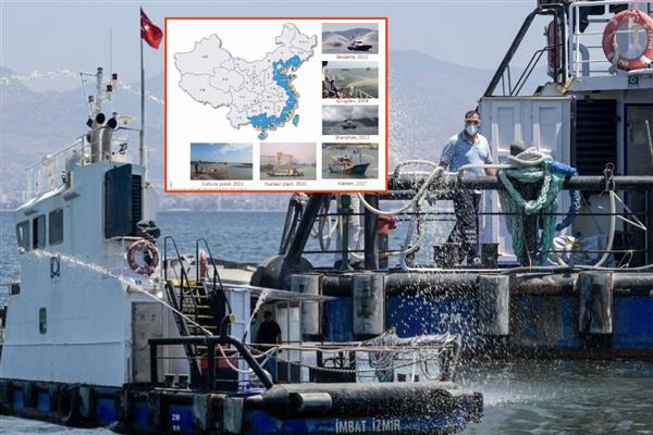 İzmir Körfezi'nde alg patlamalarına karşı Çin destekli doğal müdahale