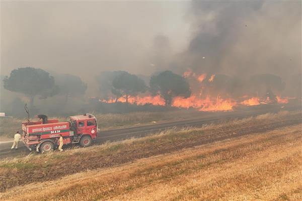 İstanbul Silivri'de orman yangını çıktı, bazı yerleşim alanları tahliye edildi