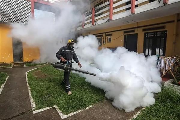 Çin'de 1714 Chikungunya ateşi vakası tespit edildi