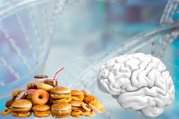 Bilim insanları, fast foodların yalnızca 4 gün içinde beyin hücrelerinde bozulmaya neden olduğunu keşfetti
