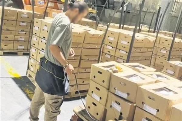 Ekvador'dan İspanya'ya giden gemide 1 ton 728 kilo kokain ele geçirildi: Türkiye'de “kontrollü teslimat” operasyonuyla alıcılar yakaladı