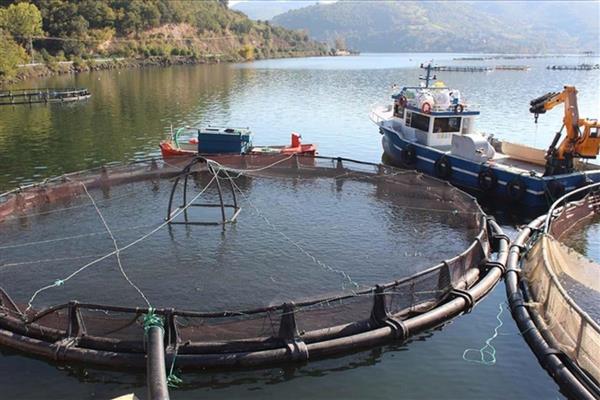 Su ürünleri yetiştirici örgütlerine üye olanlardan yapılan kesintide değişikliğe gidildi