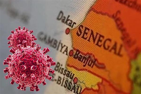 Senegal'de Rift Vadisi Ateşi salgınında ölü sayısı 29'a çıktı