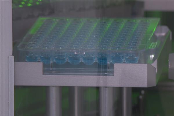 Türk bilim insanlarından akciğer kanserinde radyoterapiye genetik yanıt haritası