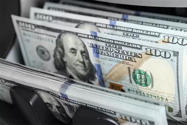 Finans Ödemeler Dengesi Beklenti Anketi'ne katılan ekonomistler tahminlerini açıkladı