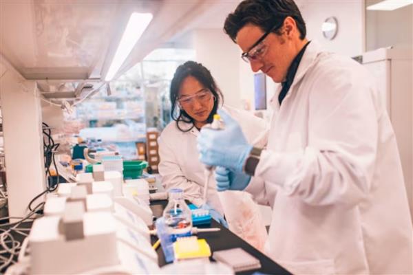 Altos Labs, 3 milyar dolarlık yatırımla insan hücrelerini yeniden programlayarak yaşlanmayı tersine çevirmeyi hedefliyor