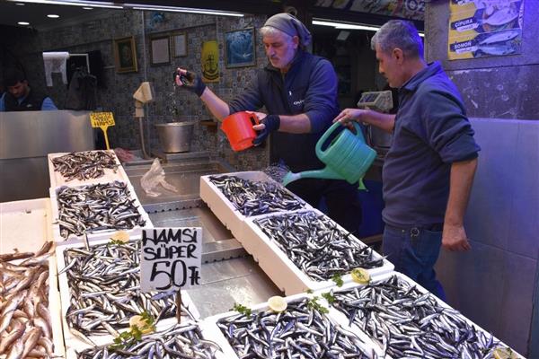 Doğu Karadeniz'de hamsi bolluğu balıkçıların yüzünü güldürdü