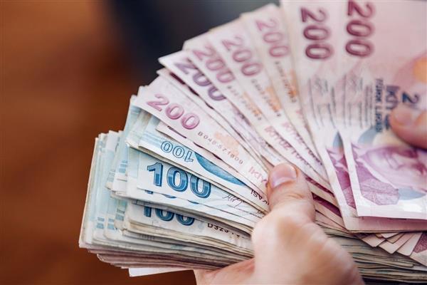 Merkez Bankası verilerine göre Türk Lirası'nın reel değeri kasım ayında sınırlı geriledi