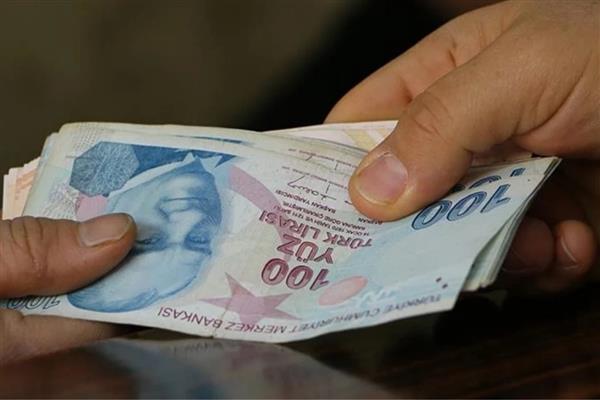 Vatandaşlık maaşında pilot uygulama yeni yılda başlıyor