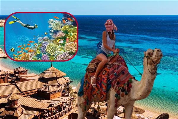 Tekstil, beyaz eşya ve inşaatın ardından Türk turistlerle turizmciler de rotayı Mısır'a çevirdi