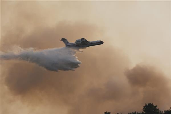 Orman Genel Müdürlüğü'nden orman yangınlarına karşı yeni strateji