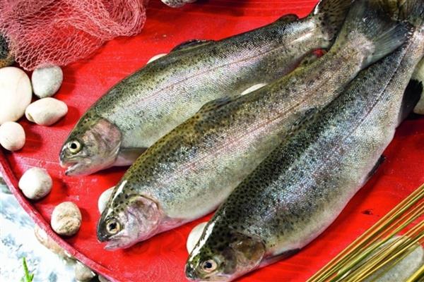 Türk somonu ihracatta hızlı büyüyor, hedef 2-3 yıl içerisinde milyar dolar seviyesine çıkmak