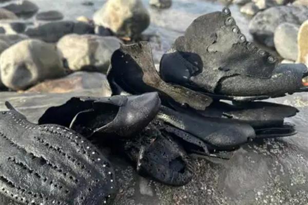 Galler'de yapılan temizlik sırasında 19'uncu yüzyıla ait yüzlerce çizme bulundu