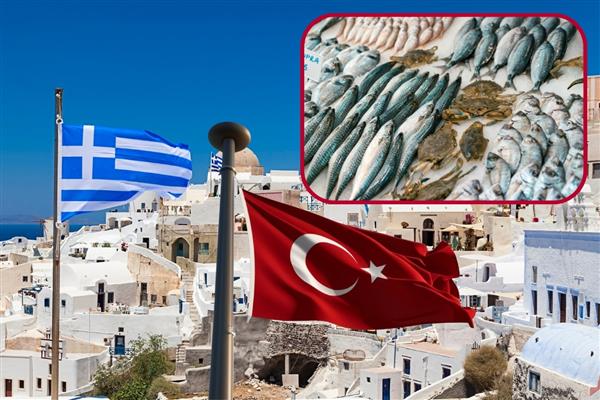 Selanik raporu ortaya koydu, Yunanistan'da tüketilen her 5 balıktan biri Türkiye'den geliyor