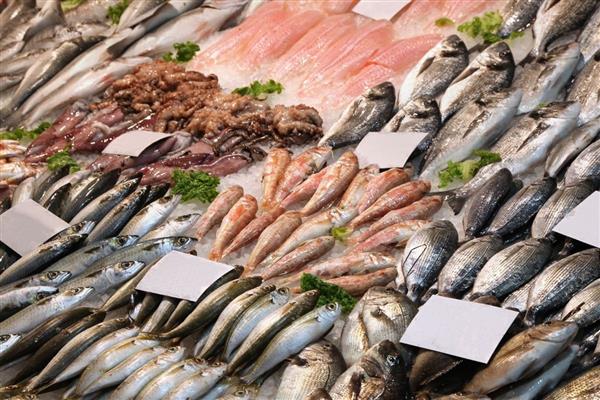 Türkiye su ürünlerinde 2 milyar 243 milyon dolar ihracat ile 2025 yılında cumhuriyet tarihinin en yüksek rakamına ulaştı