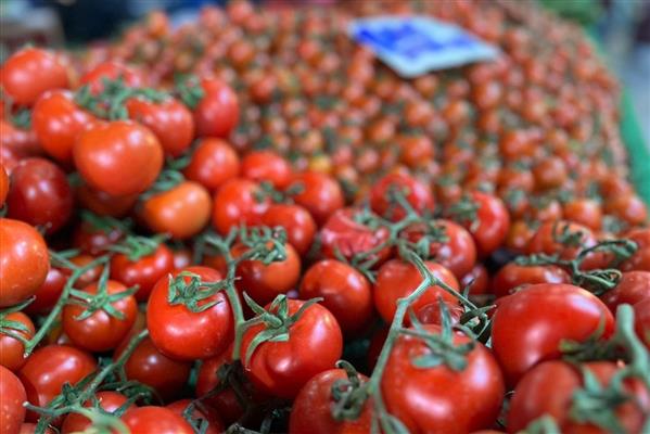 Türkiye'den geçen yıl 401 milyon dolarlık domates ihraç edildi