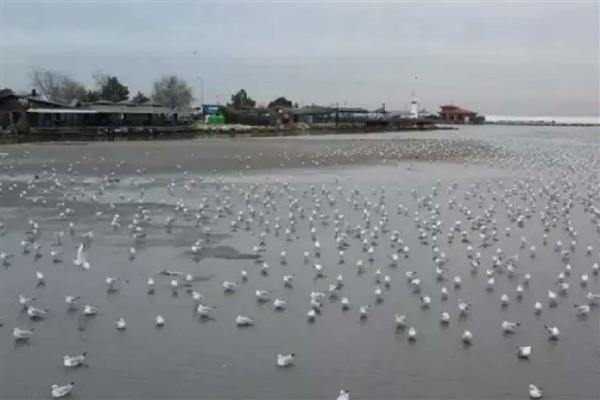 Silivri ve Avcılar'da denizde endişelendiren çekilme
