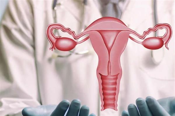 Akdeniz Üniversitesi'nde geliştirilen 'Özkan tekniği' dünyaya örnek oldu, rahim naklinde yeni dönem