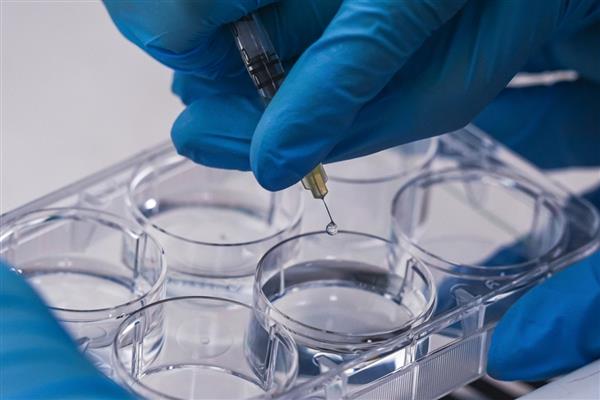 İzmir'de geliştirilen 'yara örtüsü' kronik yaralar için umut olacak