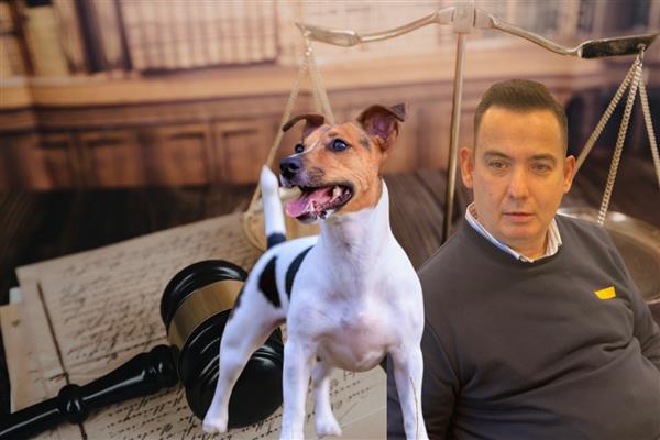 Mermerler Şirketler Grubu'nda miras kavgası iddiaları gündemdeyken Zafer Murat Mermer, köpeğinin ısırması nedeniyle mahkemelik oldu