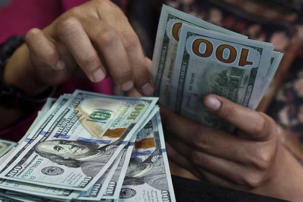 Haftalık performansta hisse senetleri, altın ve euro değer kaybederken sadece dolar değer kazandı