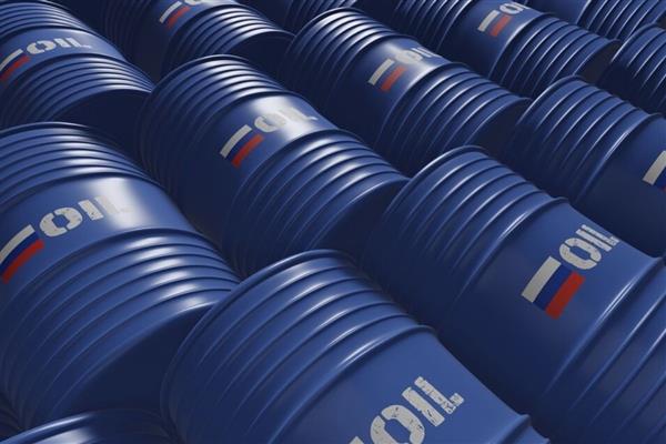 Rusya Başbakan Yardımcısı Novak, son 40 yılın en büyük enerji krizinin yaşandığını söyledi