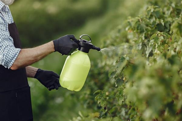 TÜBA, pestisitlerin gıda güvenliği ve halk sağlığı üzerindeki etkilerini 3-4 Nisan'da sempozyumda ele alacak