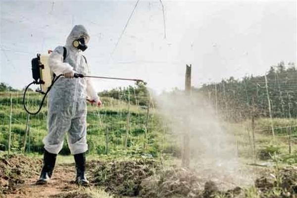 Sofralarda birden fazla pestisite aynı anda maruz kalınıyor