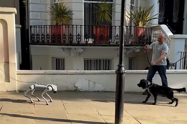 Robot köpekle gerçek köpeğin karşılaştığı an sosyal medyada gündem oldu