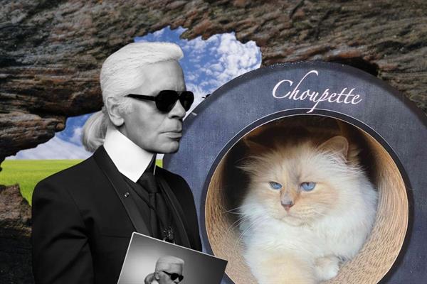 Karl Lagerfeld'in dünyaca ünlü kedisi Choupette, vaat edilen milyonlarca euroluk mirasa yıllardır ulaşamadı