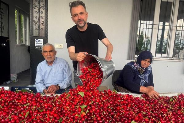 Türkiye kirazda rekor ihracata hazırlanıyor