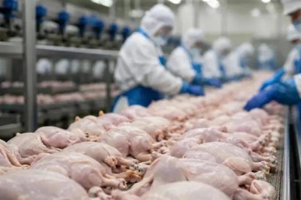 Beyaz et sektörüne yönelik operasyonda gözaltına alınan 29 kişi adli kontrol şartıyla serbest bırakıldı
