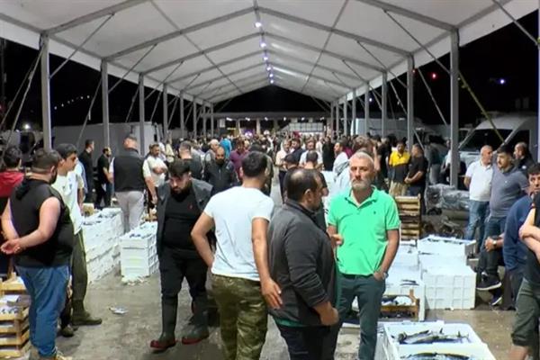 Balıkçılar denize açıldı, Gürpınar Balık Hali hareketlendi